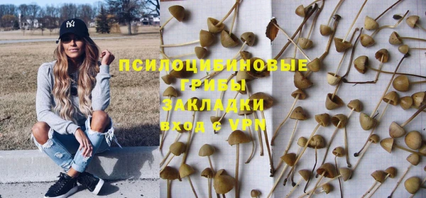 сатива Арсеньев