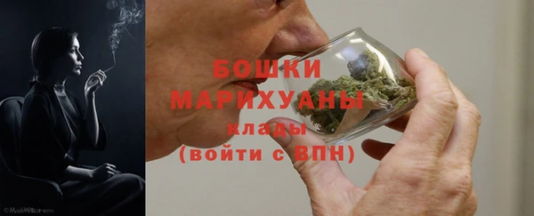 хмурый Шали