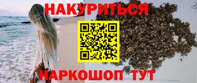 стафф Шелехов
