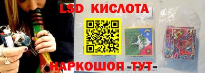 стафф Шелехов
