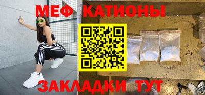 стафф Шелехов