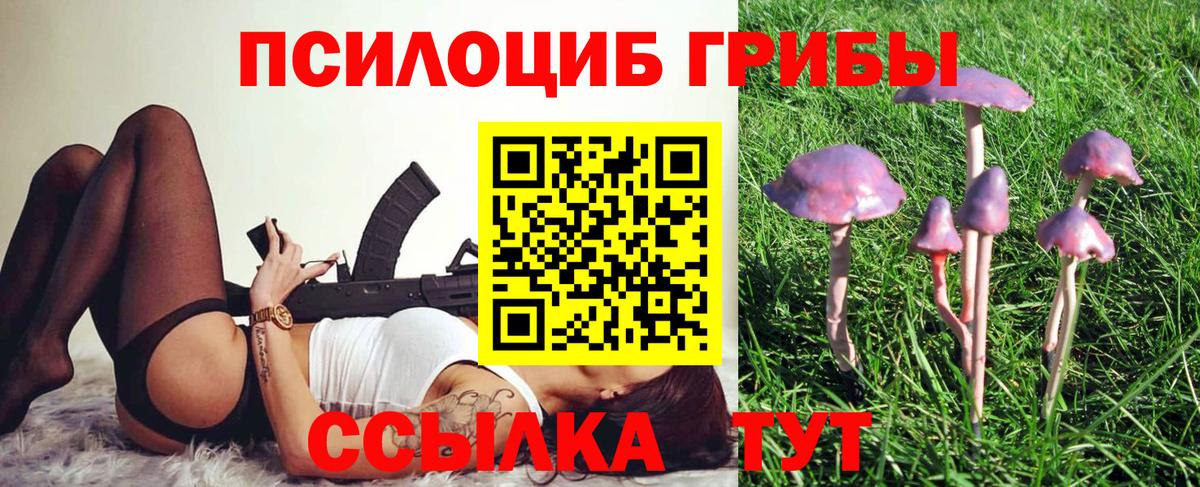 Псилоцибиновые грибы Psilocybine cubensis Новомосковск