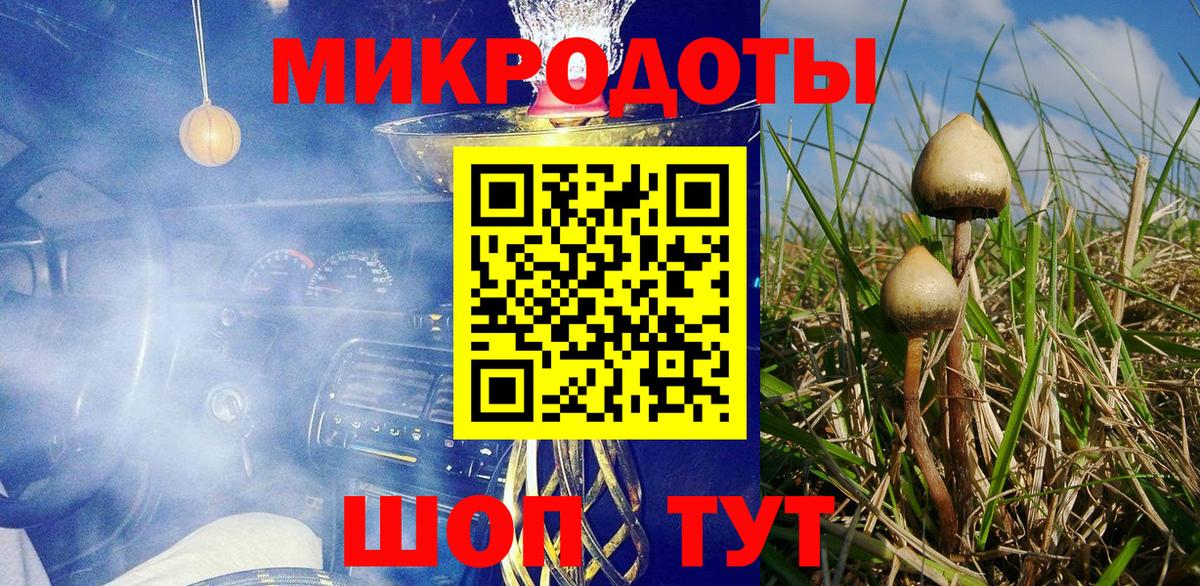 Новомосковск  Галлюциногенные грибы GOLDEN TEACHER  Вход с VPN 